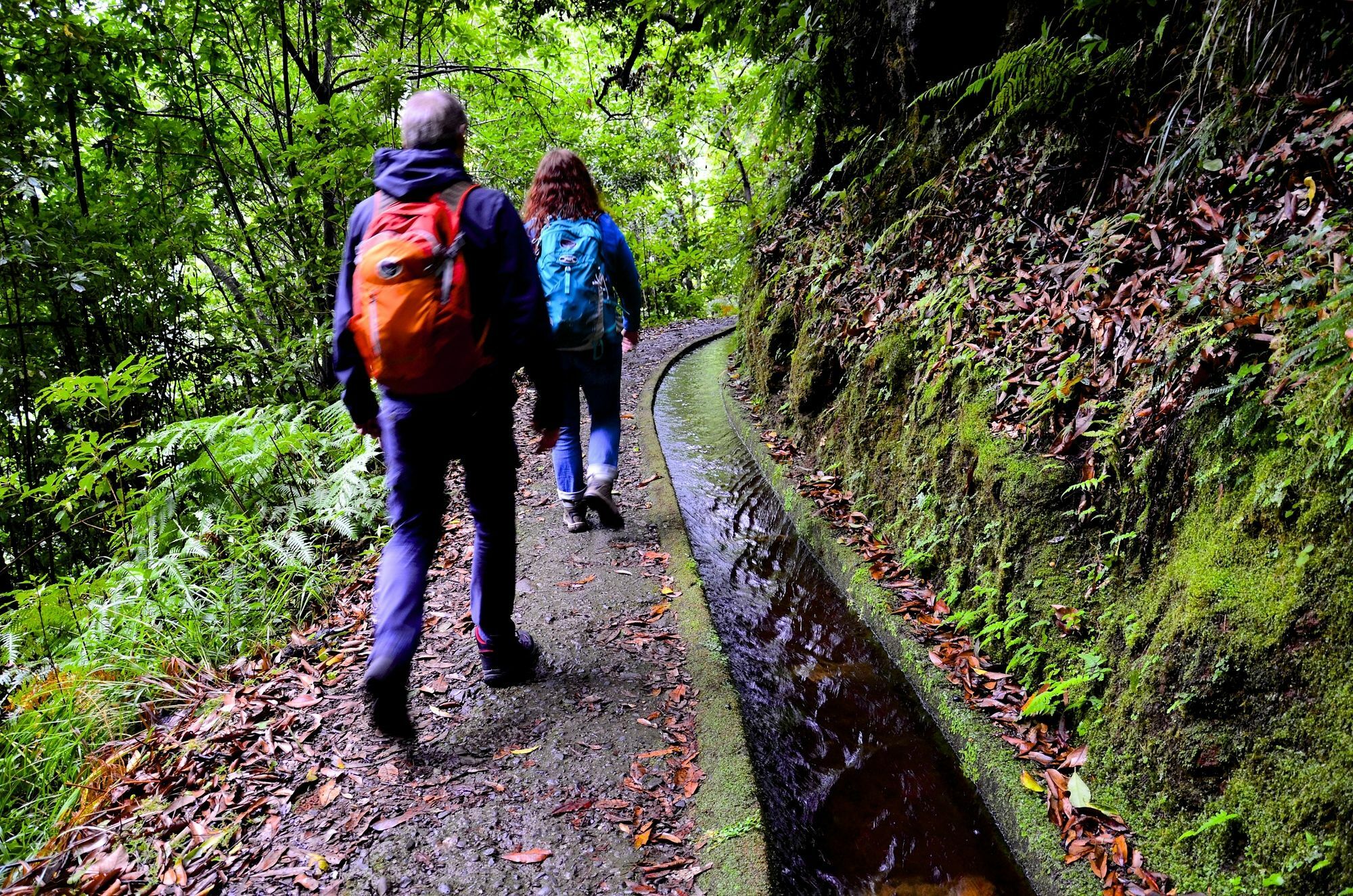 Vila Toca Funchal  Eksteriør bilde